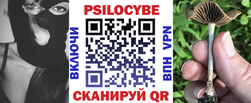 Псилоцибиновые грибы прущие грибы  Гай 