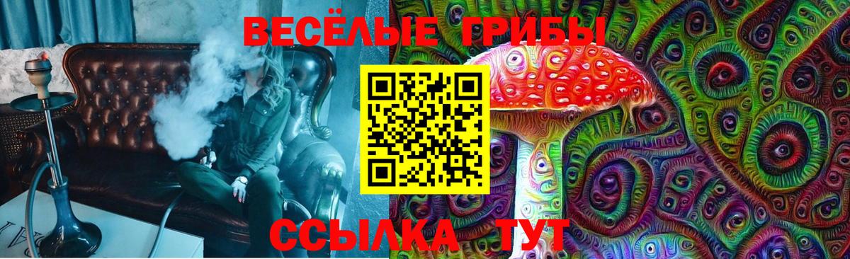 Гай  Галлюциногенные грибы Magic Shrooms  Вход с VPN 