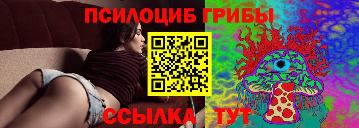 где купить наркоту  Гай  Псилоцибиновые грибы MAGIC MUSHROOMS  Псилоцибиновые грибы Psilocybe 