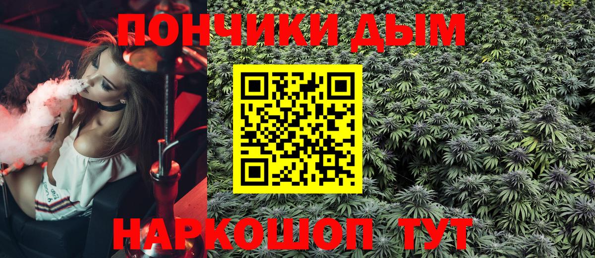 Бошки марихуана MAZAR  Шишки марихуана SATIVA & INDICA  Конопля план  Гай  Шишки марихуана конопля 